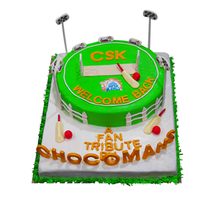 Cricket Ground Cake
