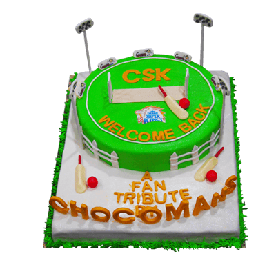 Cricket Ground Cake