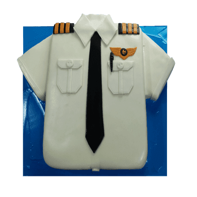 Pilot Cake